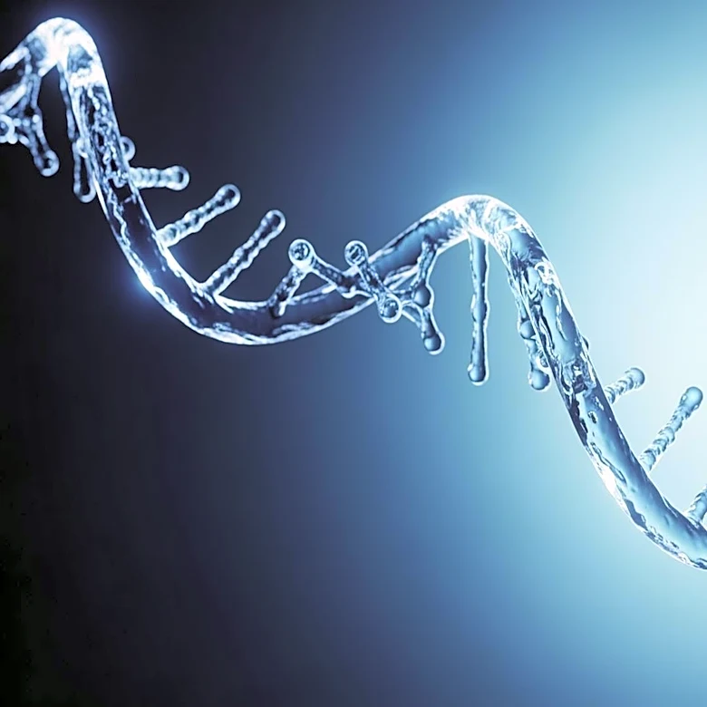 AIRNA Unveils Promising Preclinical Data on RNA-Editing Therapeutics