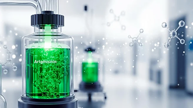 Augusta's Manus Biomanufacturing Facility to Produce Artemisinin for Malaria Treatment