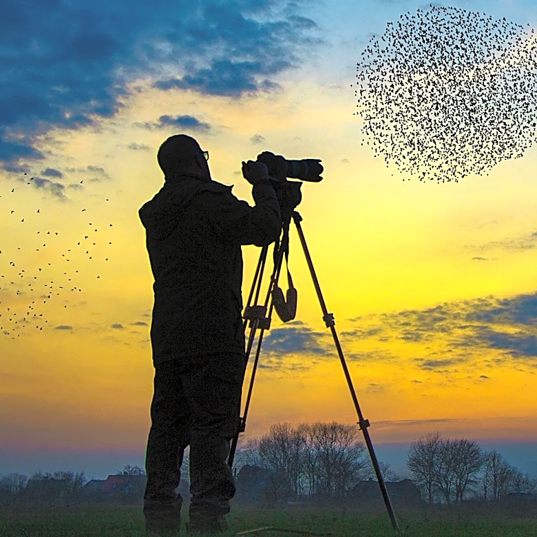Teenage Birders Compete in New Jersey's World Series of Birding