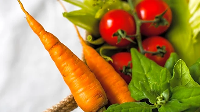 Minnetrista Farmers Market Launches Veggie Voucher Program to Promote Healthy Eating Among Kids