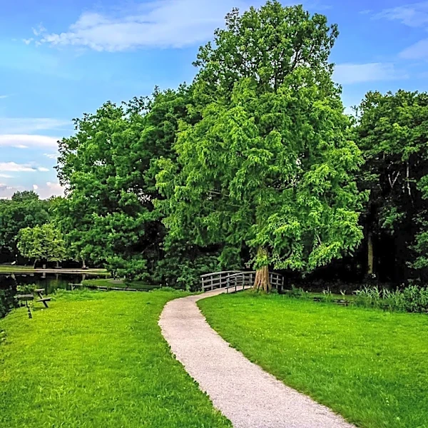 Spring Flourishes at Meadowbrook Preserve in Queensbury
