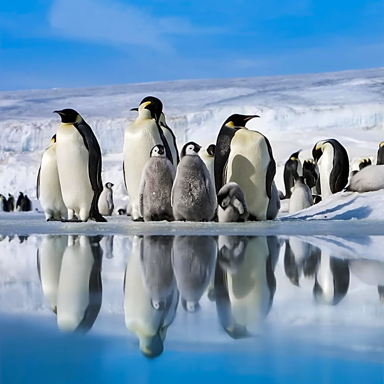 David Attenborough Celebrates 100th Birthday with PBS Documentary 'Attenborough's Greatest Adventure'