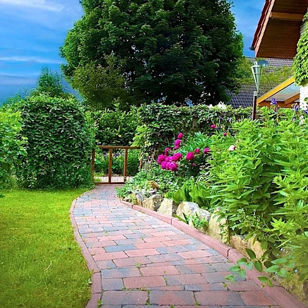 Chaos Gardening Trend Offers Cost-Effective Landscaping Solution for Homeowners