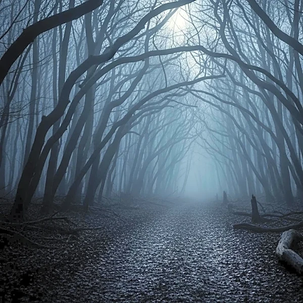 Black Forest Studios Debuts Psychological Horror 'Path Of The Lost' at Cannes