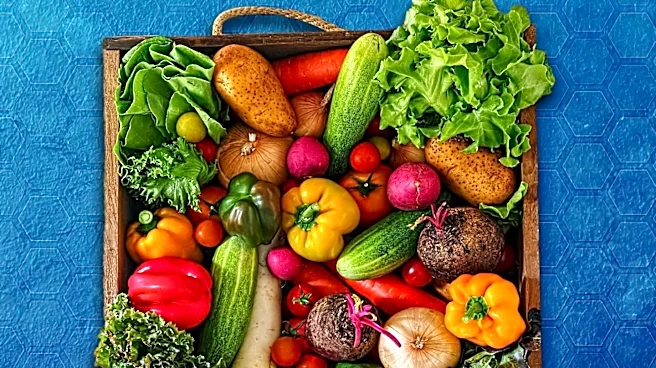 Vitamin D Intake: Dietary Solutions for Americans Facing Deficiency