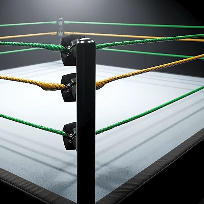 Asuka's WWE Status Clarified Amid Exit Rumors Following RAW Appearance