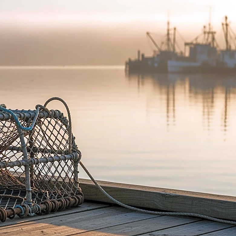 Deadliest Catch Star Jake Anderson Announces Divorce, Cites Crab Fishing as Major Factor