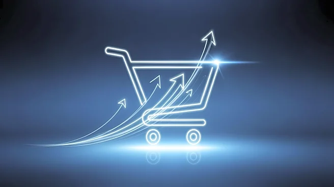 Walmart+ Membership Growth Highlights Retail Subscription Success