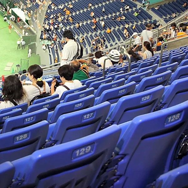 Affordable Portable Stadium Seat Offers Comfort for Bleacher Events