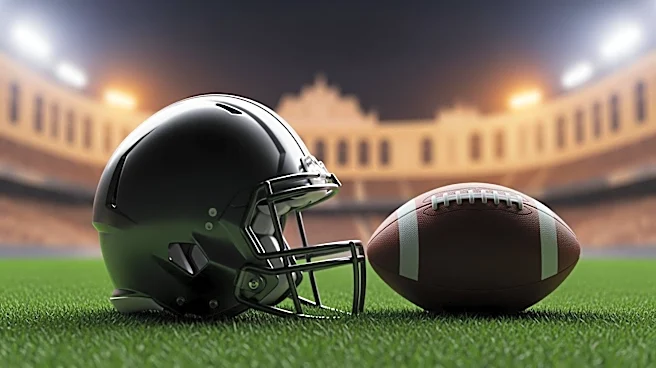 Pittsburgh Steelers and New Orleans Saints to Play NFL's First-Ever Game in France