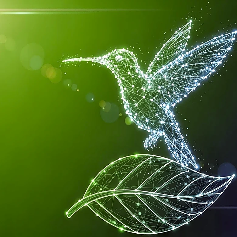 Brightseed Launches Hummingbird AI to Enhance Bioactives Discovery Platform