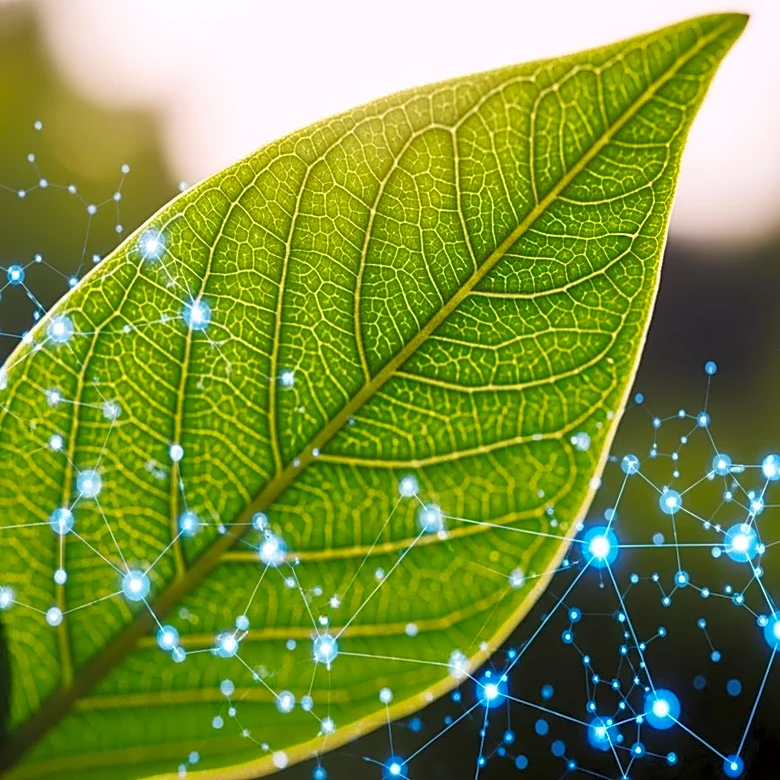 Resurrect Bio Secures $10.3M to Enhance Plant Disease Resistance