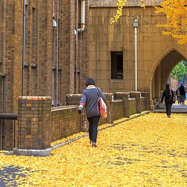 University College London Study Links Arts Engagement to Slower Aging