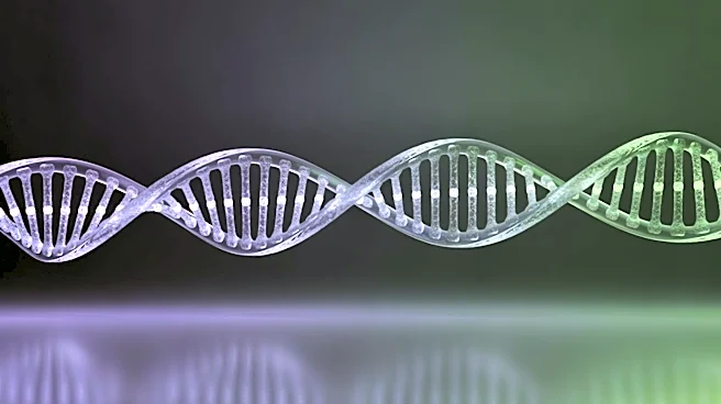 Skylark Bio to Present Promising Gene Therapy Data for Hearing Loss