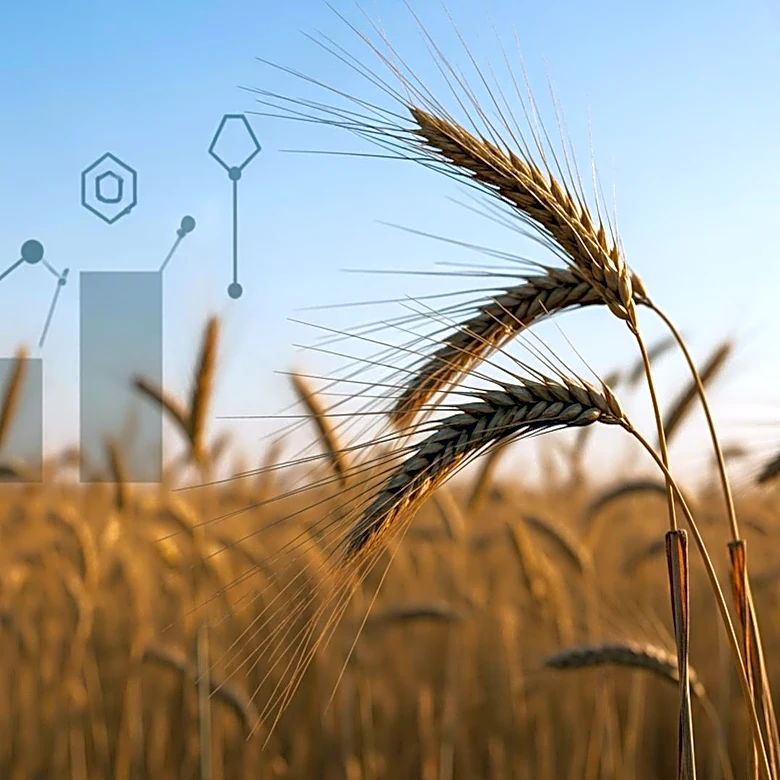 NRTC Holding Group and DAVA Agricultural Form Alliance to Boost GCC Food Security