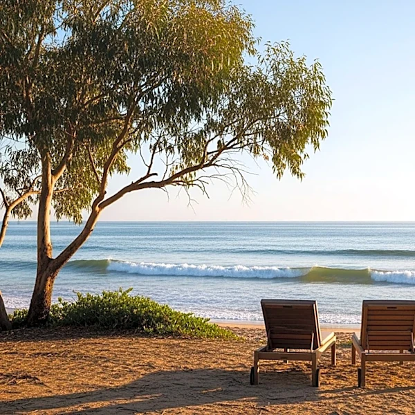 Sydney Sweeney and Scooter Braun's Romantic Getaway in Australia Captured in Video