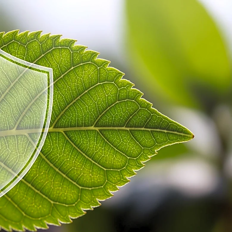 Resurrect Bio Secures $10.3 Million to Enhance Plant Disease Resistance Technology
