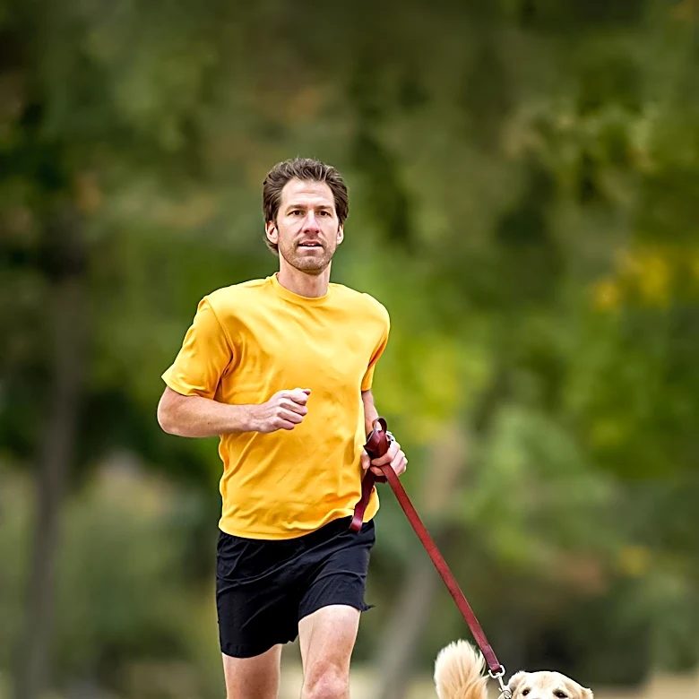 Research Suggests Dog Ownership May Enhance Longevity and Cardiovascular Health
