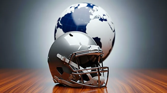 Steelers' Next International Game Location Speculated After France Announcement