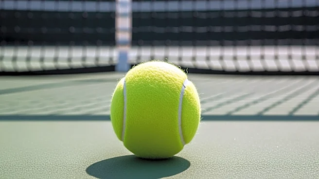 Section 2 Boys' Tennis Team Playoffs Underway with Top Seeds Announced