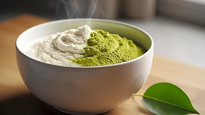 Dairy and Plant-Based Companies Innovate with Protein-Centric Products to Meet Consumer Demand