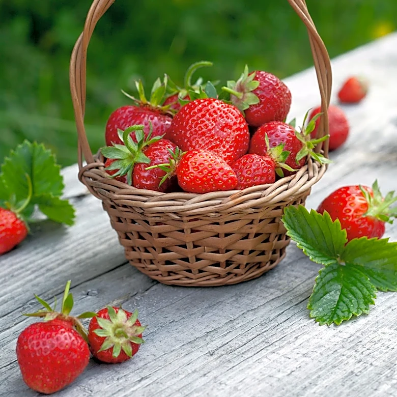 Assonet's Annual Strawberry Festival Returns with Community Festivities and Scholarships