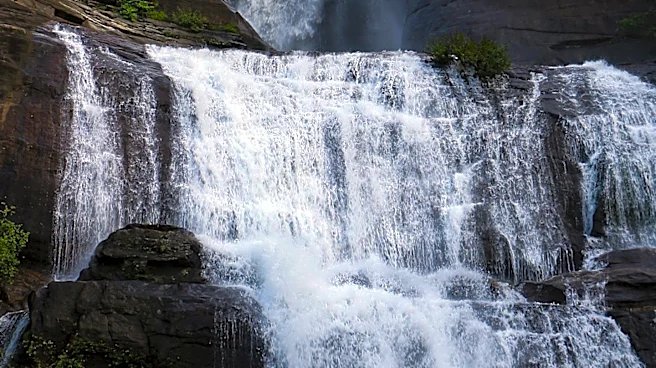 Lainey Wilson and Devlin Hodges Celebrate Wedding at Tennessee Waterfall