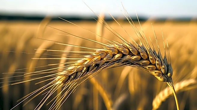 Congresswoman Hinson Applauds House Approval of E15 Bill, Boosting Agriculture
