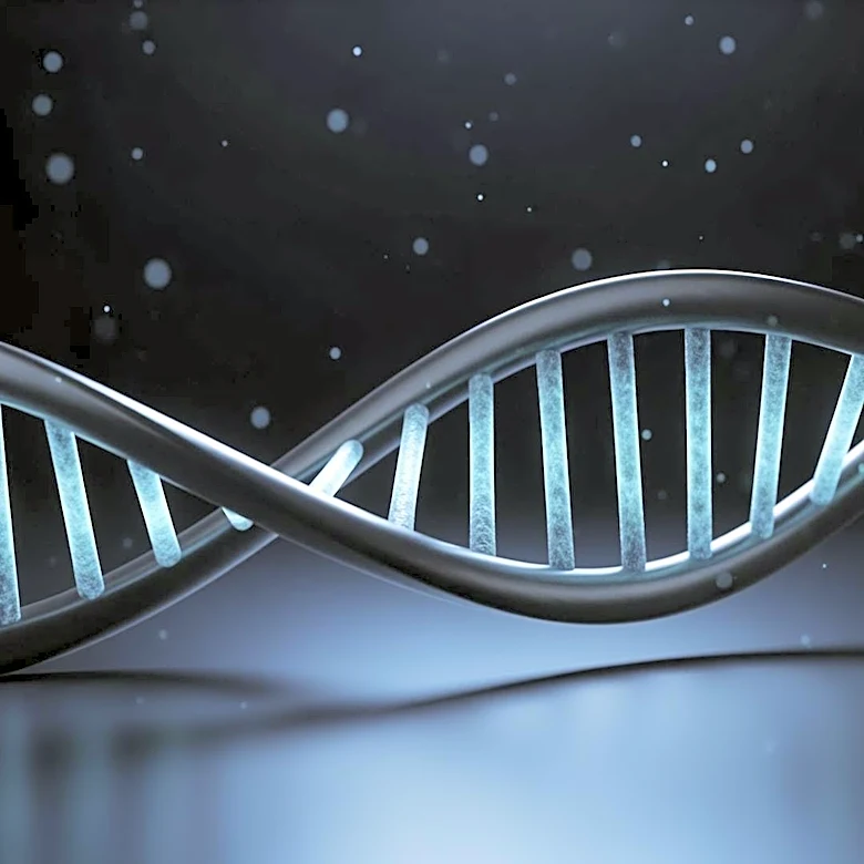 Precision BioSciences Unveils Promising Preclinical Data for Duchenne Muscular Dystrophy Treatment