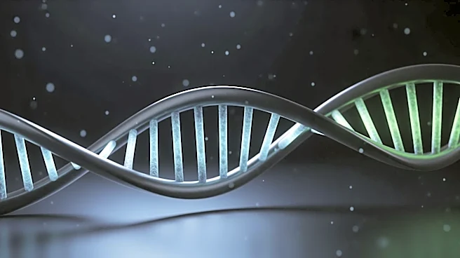 Precision BioSciences Unveils Promising Preclinical Data for Duchenne Muscular Dystrophy Treatment