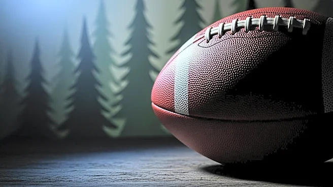 Chicago Bears Face Tough NFC North Challenge Despite 2025 Success