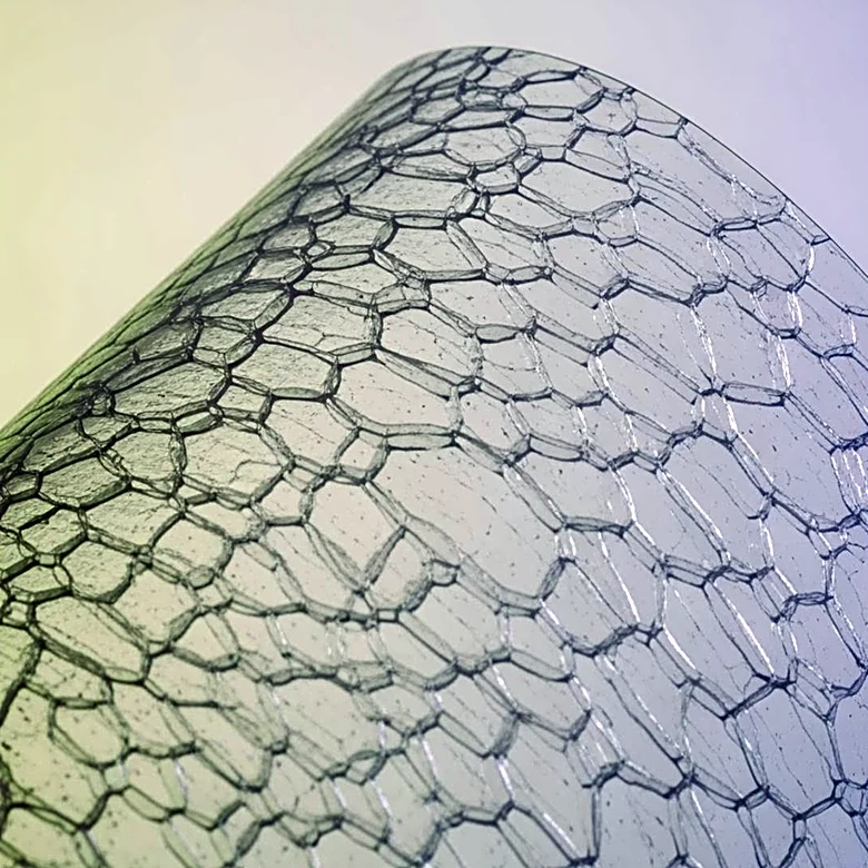 Innovations in Material Science: Caravel Bio and Gaia Biomaterials Lead the Way