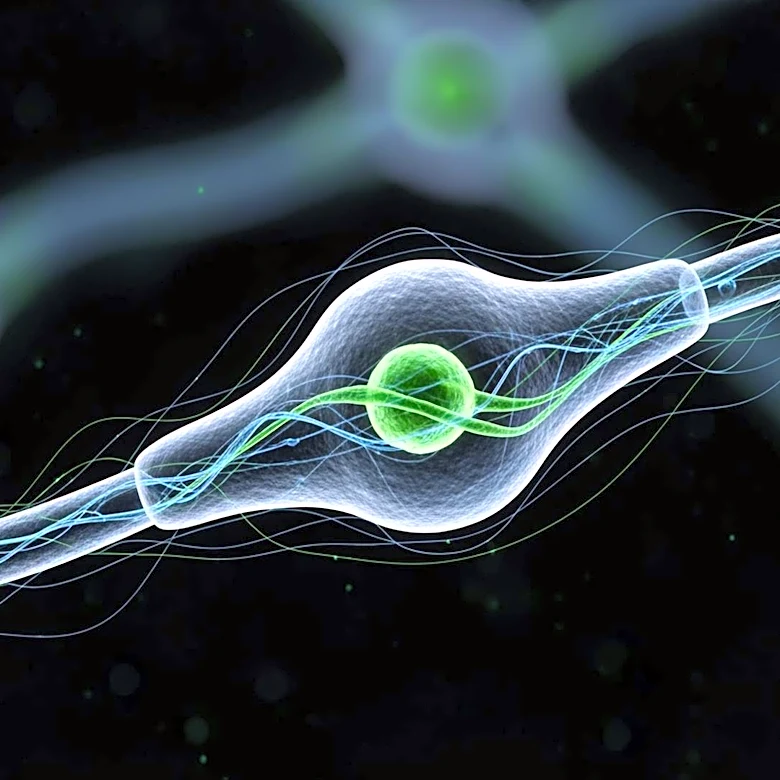 Biogen's Alzheimer's Drug Advances Tau Theory, Boosts Denali's Prospects