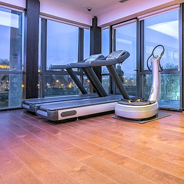 Vibration Plates: A Supplementary Tool for Strength Training