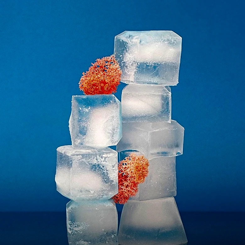 Study Suggests Ice Vests and Cold Showers May Aid Weight Loss by Activating Brown Fat