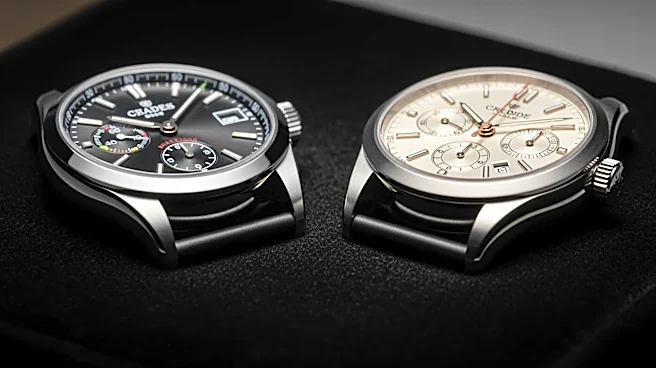 Swatch and Audemars Piguet Collaborate on Royal Pop Watch, Targeting Diverse Audiences