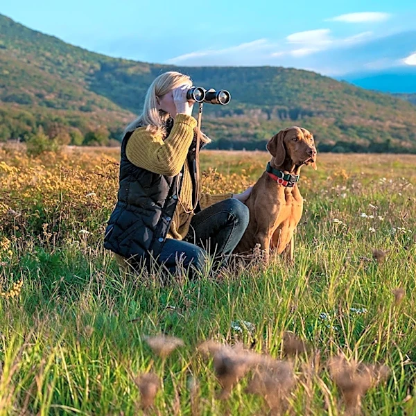Birdwatching Linked to Improved Brain Health, Study Finds