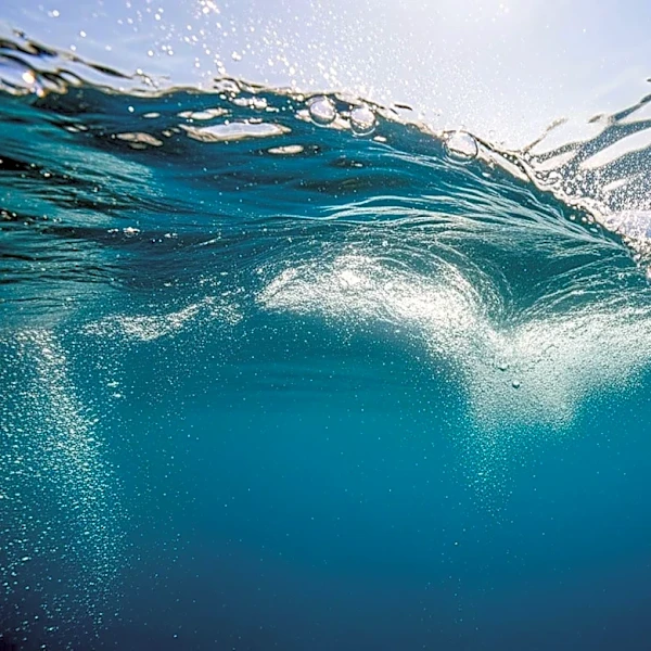 Shailene Woodley Narrates 'Ocean Dreams' Documentary for IMAX Release