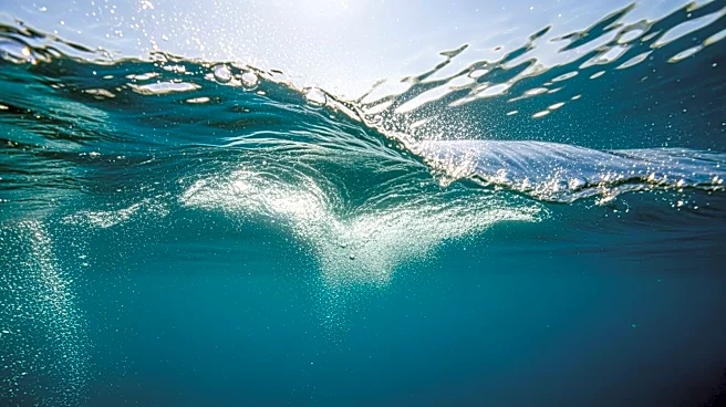 Shailene Woodley Narrates 'Ocean Dreams' Documentary for IMAX Release
