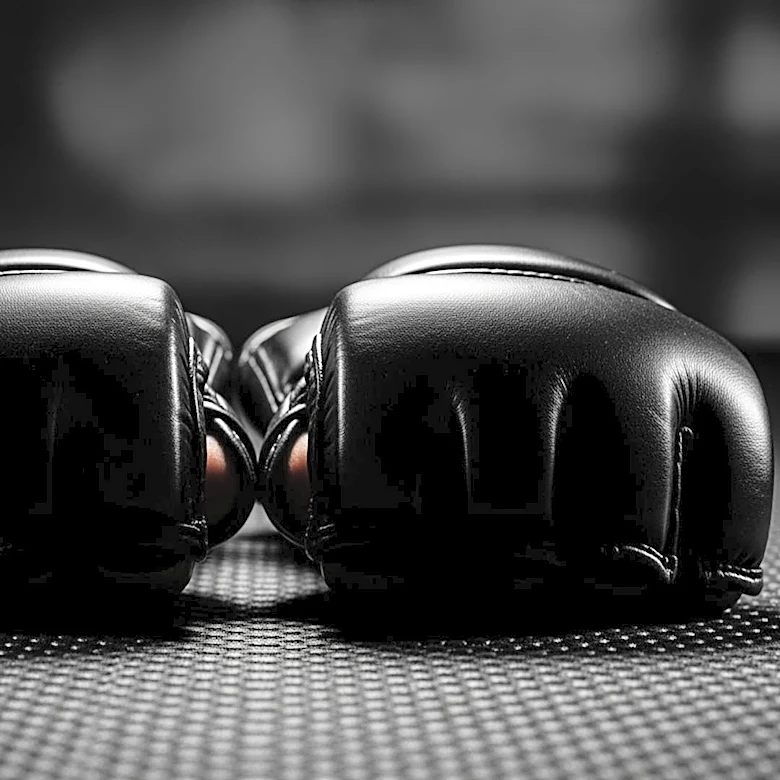 Ronda Rousey and Gina Carano Headline MMA Event, Marking Their Return to the Octagon