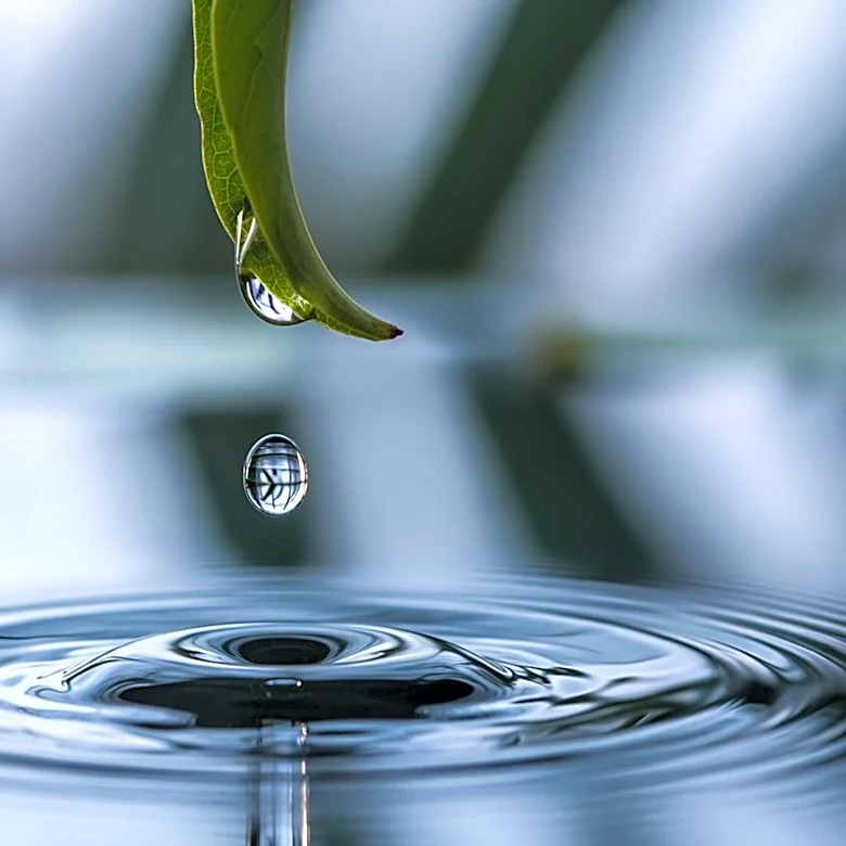Hydrofarm Holdings Group Reports Significant Decline in First Quarter 2026 Financial Results