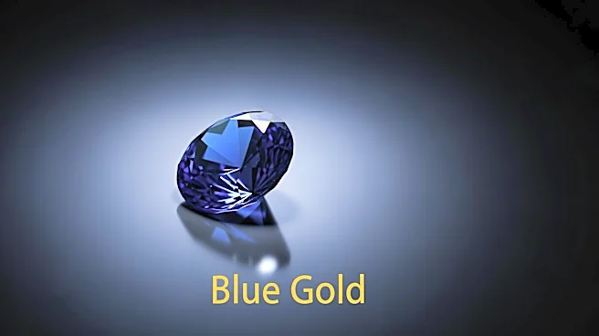 Blue Gold Limited Faces Legal Setback in Cayman Islands Court Over Shareholder Litigation