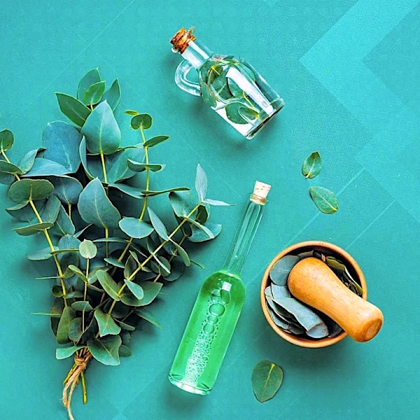 Consumer Reports Endorses Repel Lemon Eucalyptus as Top Non-DEET Insect Repellent