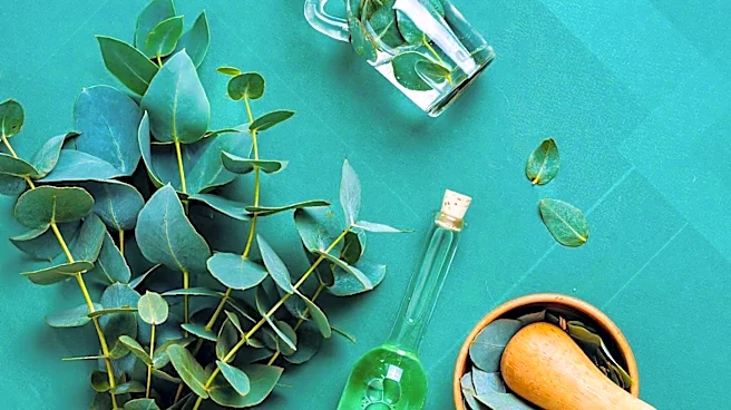 Consumer Reports Endorses Repel Lemon Eucalyptus as Top Non-DEET Insect Repellent