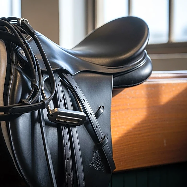 Experts Provide Top Picks for 2026 Preakness Stakes Day at Laurel Park