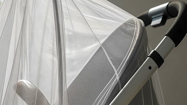 U.S. Compact Stroller Mosquito Net Market Faces Import Dependency and Competitive Pressures