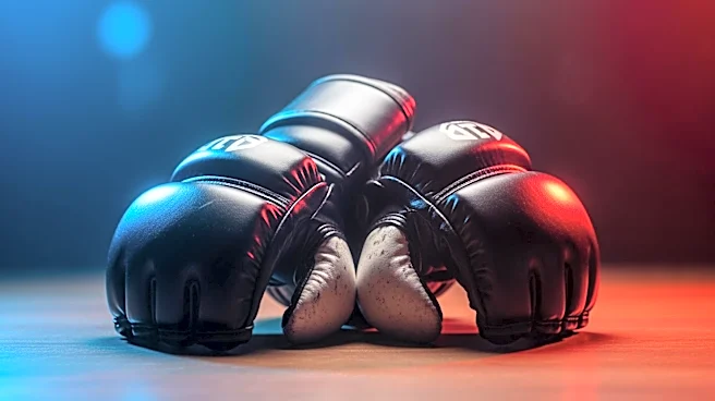 Netflix Streams Ronda Rousey vs. Gina Carano MMA Fight Without Extra Cost