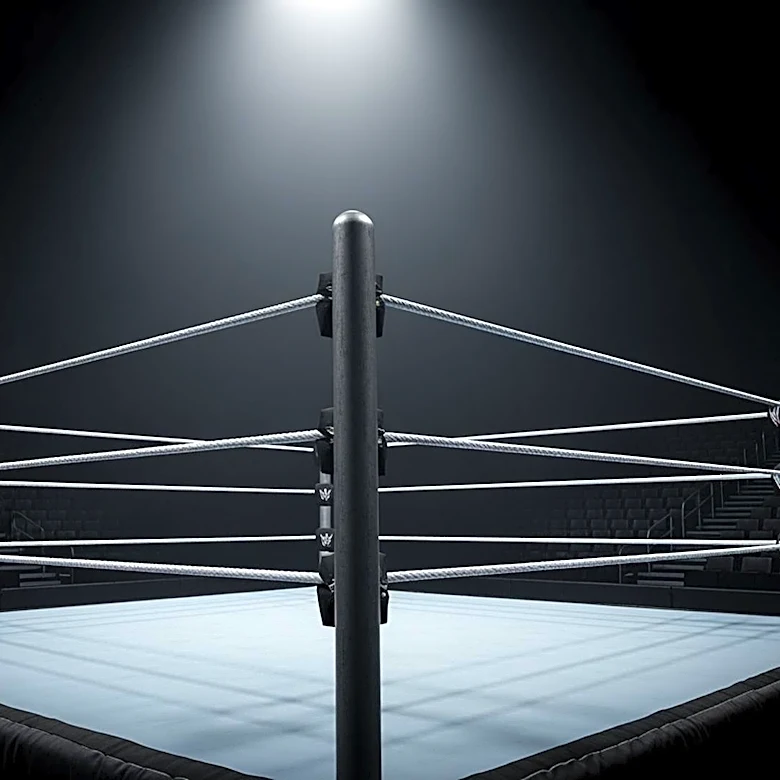 WWE Faces Criticism Over Diminished Importance of Wins and Losses in Wrestling