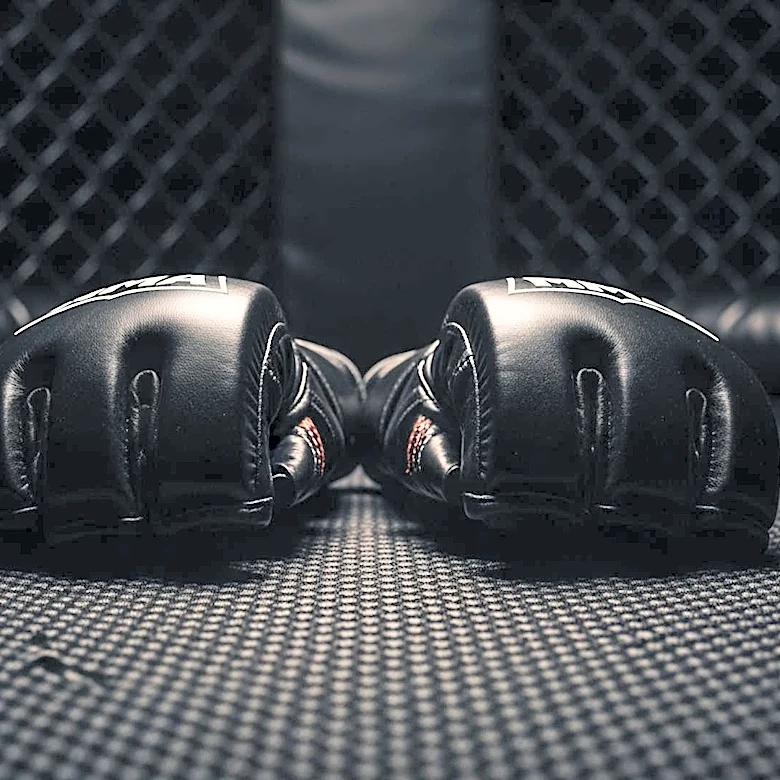 Ronda Rousey and Gina Carano Headline Netflix's First Live MMA Event