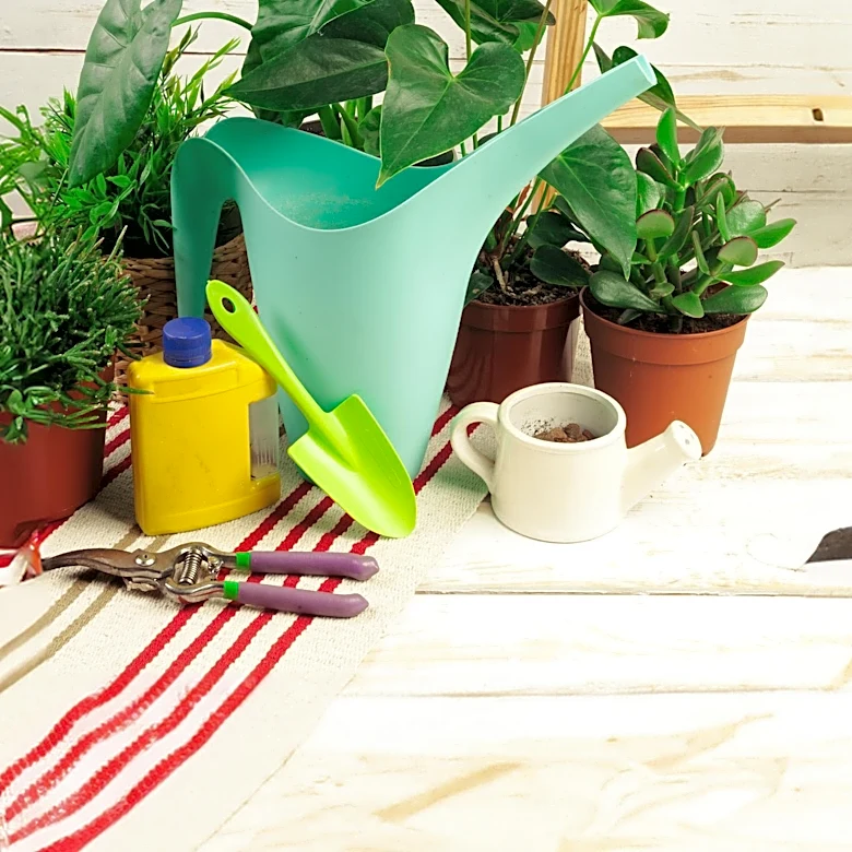 Purived Fertilizer Revitalizes Houseplants with Rapid Growth